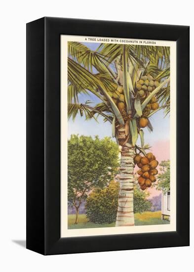 Coconut Palm-null-Framed Stretched Canvas