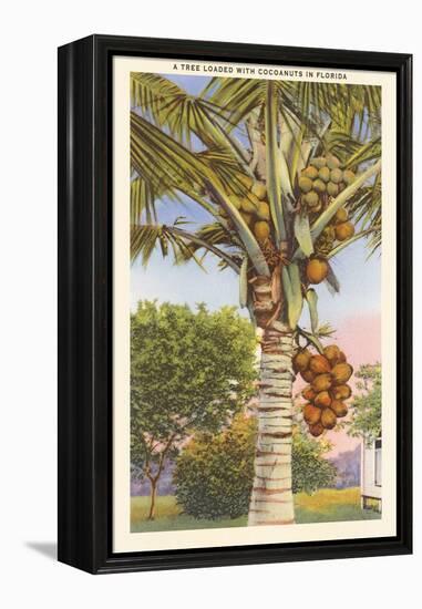 Coconut Palm-null-Framed Stretched Canvas