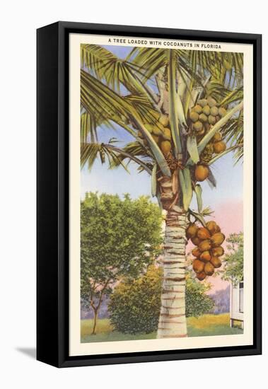 Coconut Palm-null-Framed Stretched Canvas