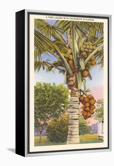 Coconut Palm-null-Framed Stretched Canvas