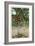 Coconut Palm-null-Framed Premium Giclee Print