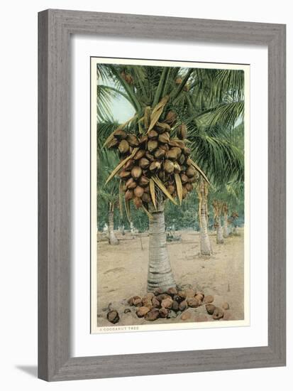 Coconut Palm-null-Framed Art Print