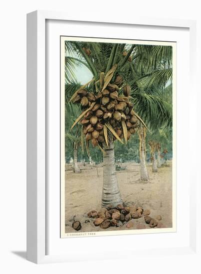 Coconut Palm-null-Framed Art Print