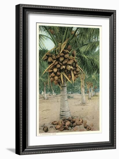 Coconut Palm-null-Framed Art Print