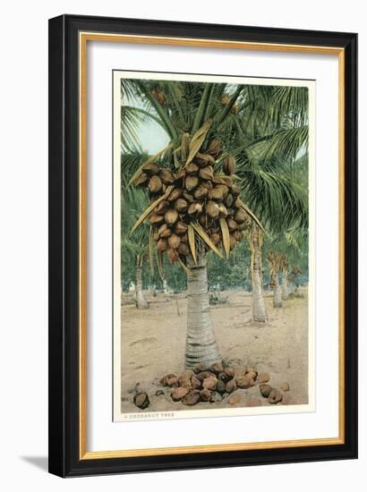 Coconut Palm-null-Framed Art Print