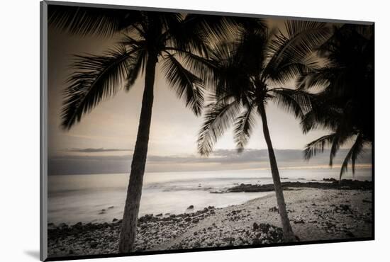 Coconut Palms and Surf at Dusk, Kailua-Kona, Hawaii, Usa-Russ Bishop-Mounted Photographic Print