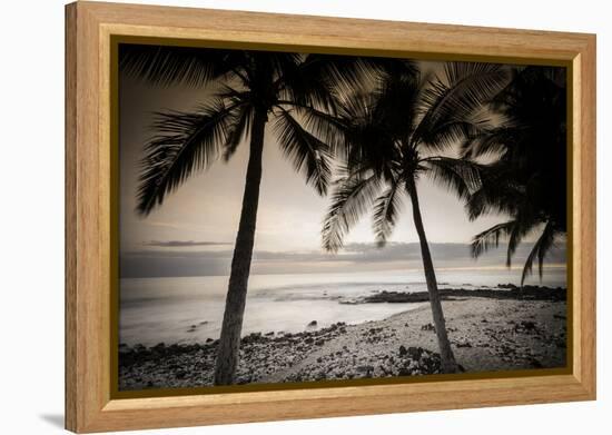 Coconut Palms and Surf at Dusk, Kailua-Kona, Hawaii, Usa-Russ Bishop-Framed Premier Image Canvas