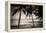 Coconut Palms and Surf at Dusk, Kailua-Kona, Hawaii, Usa-Russ Bishop-Framed Premier Image Canvas