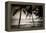 Coconut Palms and Surf at Dusk, Kailua-Kona, Hawaii, Usa-Russ Bishop-Framed Premier Image Canvas