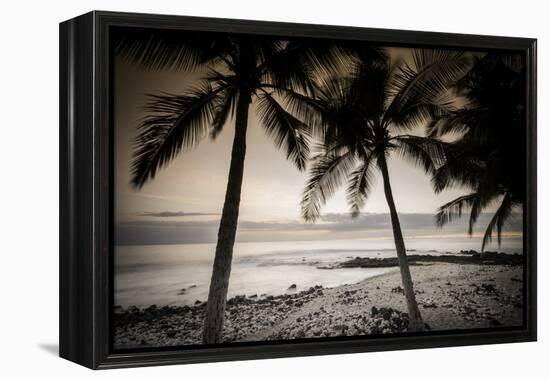 Coconut Palms and Surf at Dusk, Kailua-Kona, Hawaii, Usa-Russ Bishop-Framed Premier Image Canvas