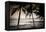 Coconut Palms and Surf at Dusk, Kailua-Kona, Hawaii, Usa-Russ Bishop-Framed Premier Image Canvas