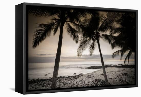 Coconut Palms and Surf at Dusk, Kailua-Kona, Hawaii, Usa-Russ Bishop-Framed Premier Image Canvas