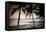 Coconut Palms and Surf at Dusk, Kailua-Kona, Hawaii, Usa-Russ Bishop-Framed Premier Image Canvas