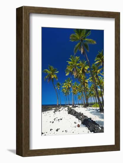 Coconut palms at Pu'uhonua O Honaunau National Historic Park (City of Refuge), Kona Coast, Hawaii-Russ Bishop-Framed Photographic Print