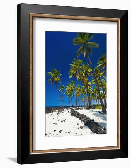 Coconut palms at Pu'uhonua O Honaunau National Historic Park (City of Refuge), Kona Coast, Hawaii-Russ Bishop-Framed Photographic Print