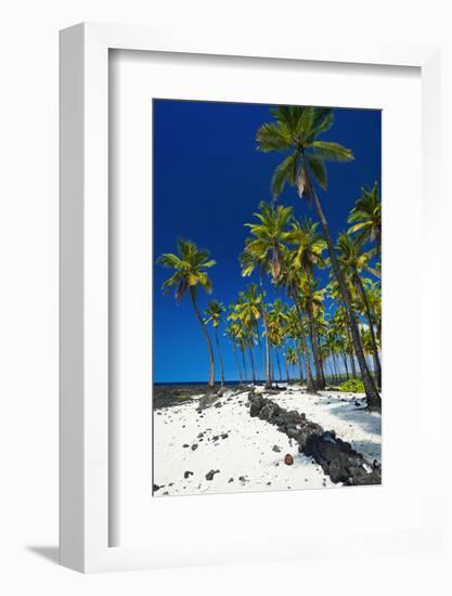 Coconut palms at Pu'uhonua O Honaunau National Historic Park (City of Refuge), Kona Coast, Hawaii-Russ Bishop-Framed Photographic Print