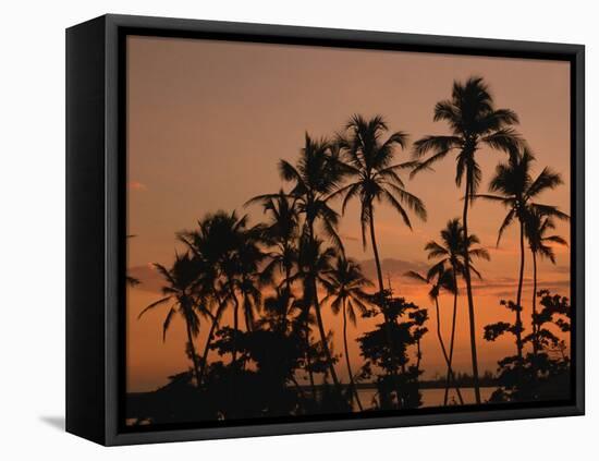 Coconut Palms, Boca Chica, South Coast, Dominican Republic, West Indies, Central America-Thouvenin Guy-Framed Premier Image Canvas