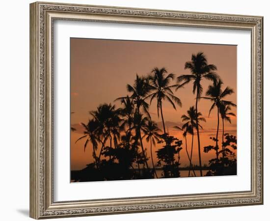 Coconut Palms, Boca Chica, South Coast, Dominican Republic, West Indies, Central America-Thouvenin Guy-Framed Photographic Print