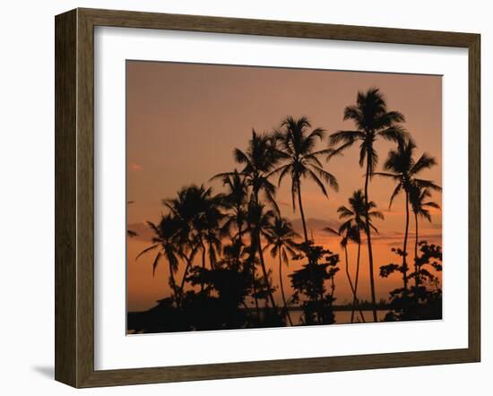 Coconut Palms, Boca Chica, South Coast, Dominican Republic, West Indies, Central America-Thouvenin Guy-Framed Photographic Print