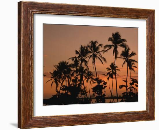 Coconut Palms, Boca Chica, South Coast, Dominican Republic, West Indies, Central America-Thouvenin Guy-Framed Photographic Print