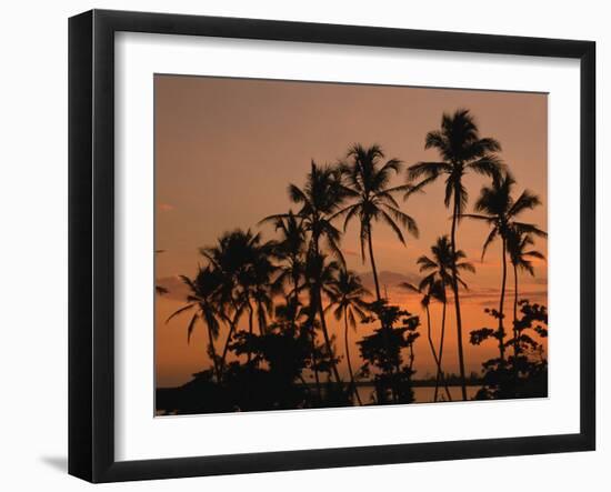 Coconut Palms, Boca Chica, South Coast, Dominican Republic, West Indies, Central America-Thouvenin Guy-Framed Photographic Print