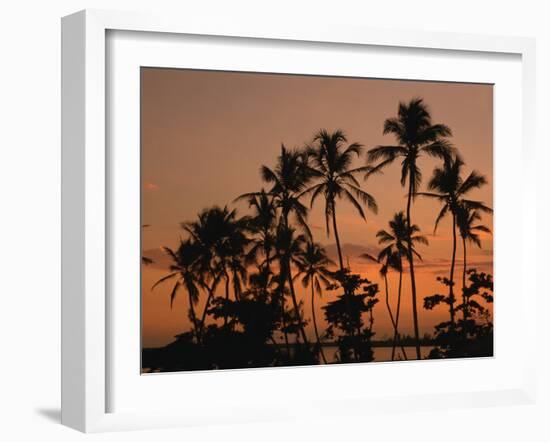 Coconut Palms, Boca Chica, South Coast, Dominican Republic, West Indies, Central America-Thouvenin Guy-Framed Photographic Print