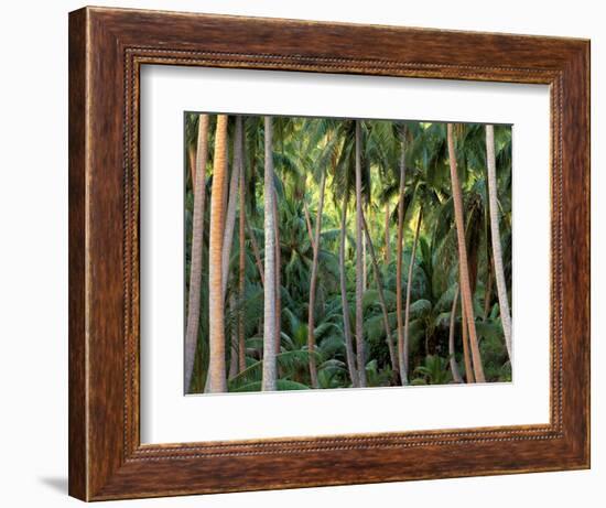 Coconut Palms, Bora Bora, French Polynesia-Art Wolfe-Framed Photographic Print