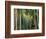 Coconut Palms, Bora Bora, French Polynesia-Art Wolfe-Framed Photographic Print