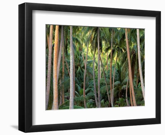 Coconut Palms, Bora Bora, French Polynesia-Art Wolfe-Framed Photographic Print