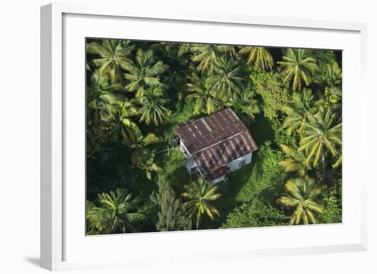 Coconut Palms, Georgetown Area, Guyana-Pete Oxford-Framed Photographic Print