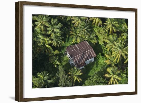 Coconut Palms, Georgetown Area, Guyana-Pete Oxford-Framed Photographic Print