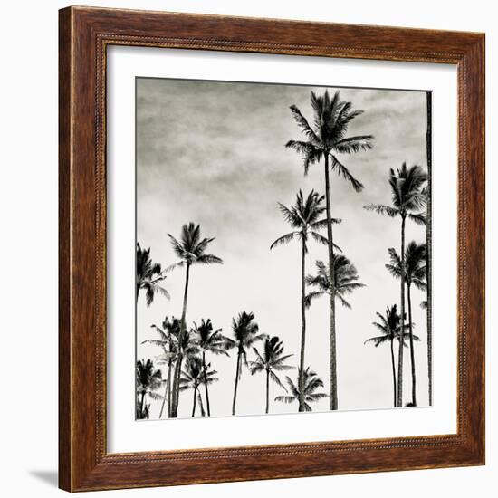 Coconut Palms I 'Cocos nucifera', Kaunakakai, Molokai-JoSon-Framed Giclee Print