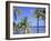 Coconut Palms on Beach, Tropical Island of Belize, Summer 1997-Phil Savoie-Framed Photographic Print