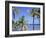 Coconut Palms on Beach, Tropical Island of Belize, Summer 1997-Phil Savoie-Framed Photographic Print