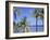 Coconut Palms on Beach, Tropical Island of Belize, Summer 1997-Phil Savoie-Framed Photographic Print