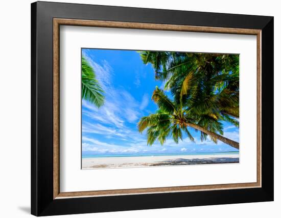 Coconut palms, Scout Park Beach, Cocos (Keeling) Islands, Indian Ocean, Asia-Lynn Gail-Framed Photographic Print
