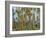 Coconut Plantation, Taveuni Island, Fiji-Upperhall-Framed Photographic Print