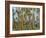 Coconut Plantation, Taveuni Island, Fiji-Upperhall-Framed Photographic Print