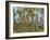 Coconut Plantation, Taveuni Island, Fiji-Upperhall-Framed Photographic Print