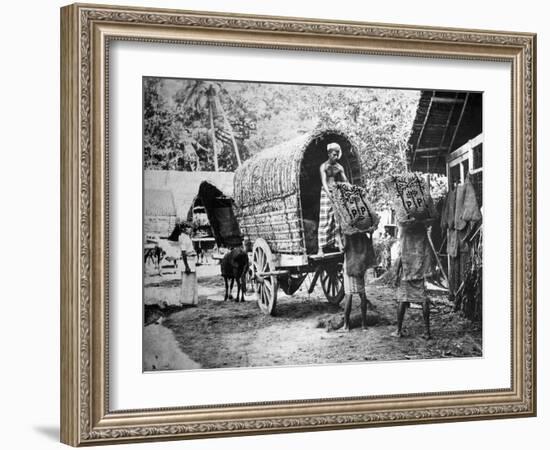 Coconut Production, India, 20th Century-null-Framed Giclee Print