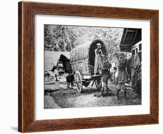 Coconut Production, India, 20th Century-null-Framed Giclee Print