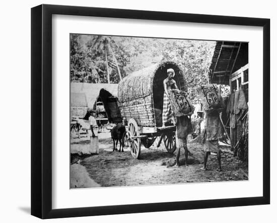 Coconut Production, India, 20th Century-null-Framed Giclee Print