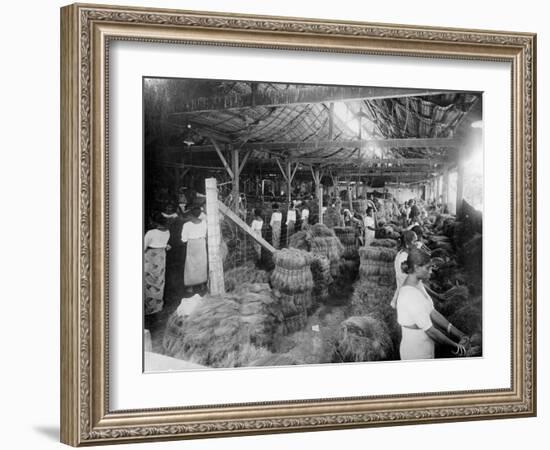 Coconut Production, India, 20th Century-null-Framed Giclee Print