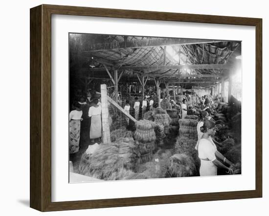 Coconut Production, India, 20th Century-null-Framed Giclee Print