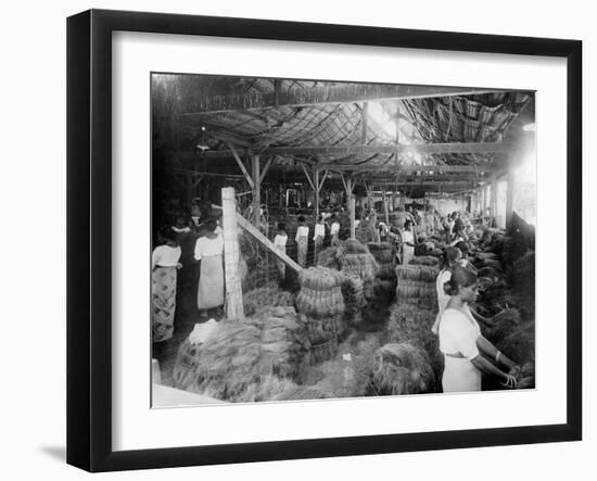 Coconut Production, India, 20th Century-null-Framed Giclee Print