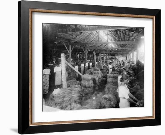 Coconut Production, India, 20th Century-null-Framed Giclee Print