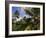 Coconut Production, Martinique, West Indies, Caribbean, Central America-Ken Gillham-Framed Photographic Print