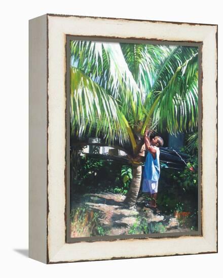 Coconut Shade, 2014-Colin Bootman-Framed Premier Image Canvas