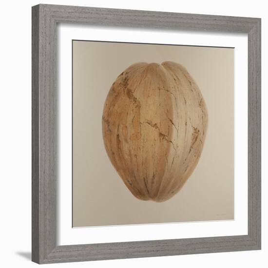 Coconut, Sri Lanka, 2010-Lincoln Seligman-Framed Giclee Print