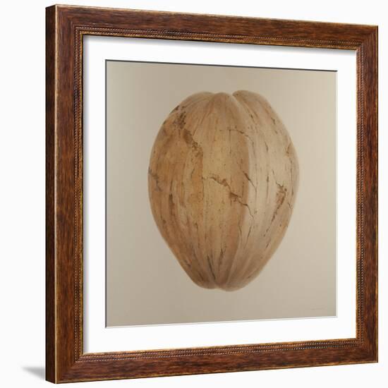 Coconut, Sri Lanka, 2010-Lincoln Seligman-Framed Giclee Print